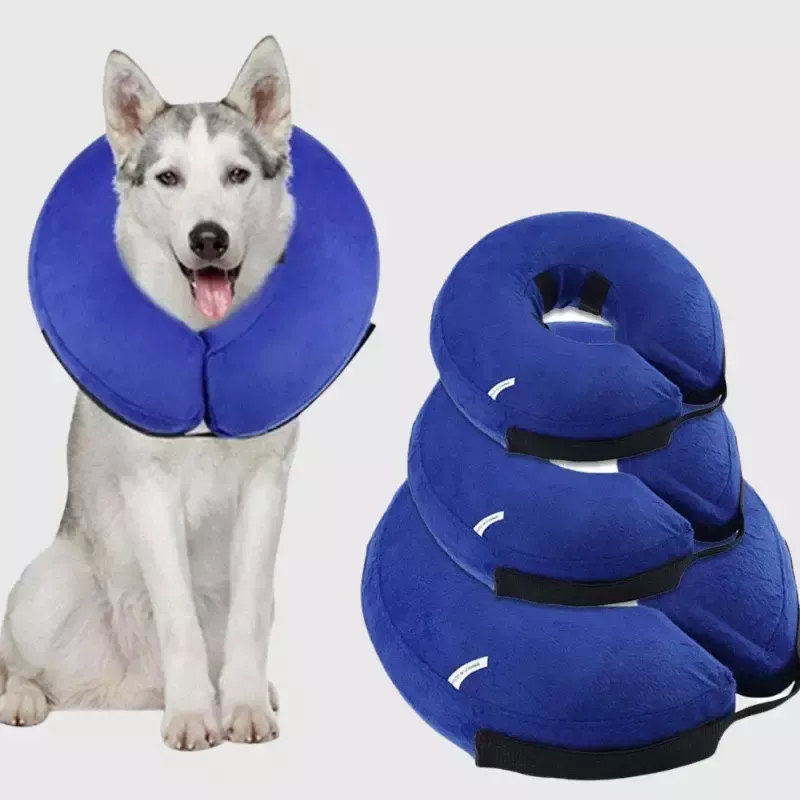 Collerette gonflable pour chien : Le coussin de convalescence